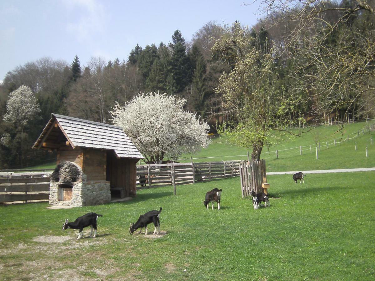 Вілла Bauernhof Kaspergut Kirchberg bei Mattighofen Екстер'єр фото